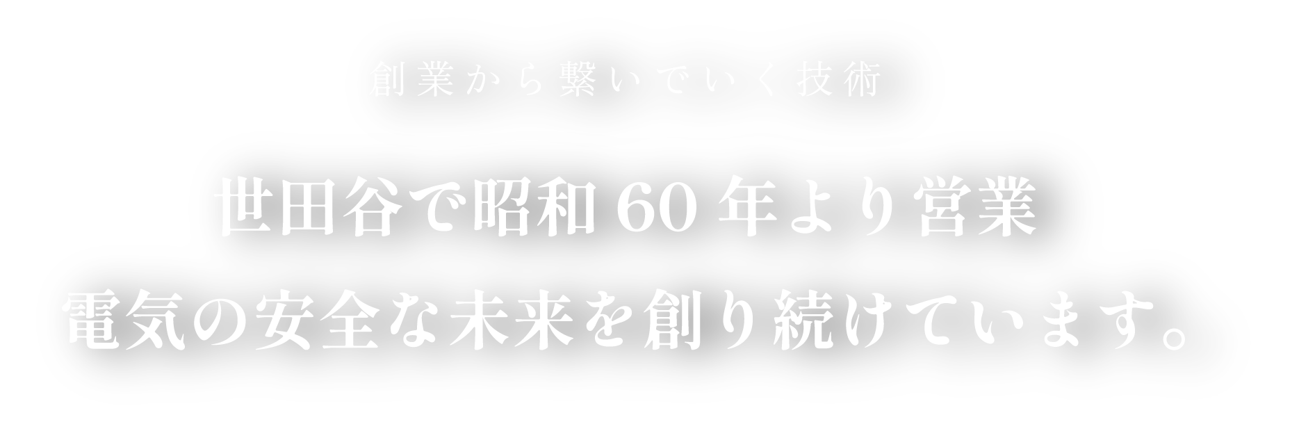 世田谷で昭和60年からの歴史電気の安全な未来を創り続けています。